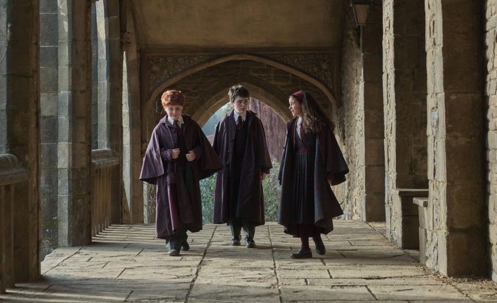 HARRY POTTER - SERIE - HBO - LOJA GEEK TO GEEK