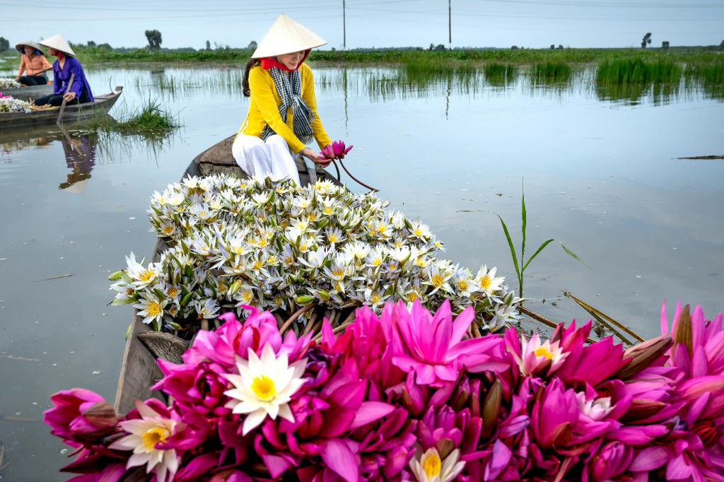 Persona en una canoa cultivando