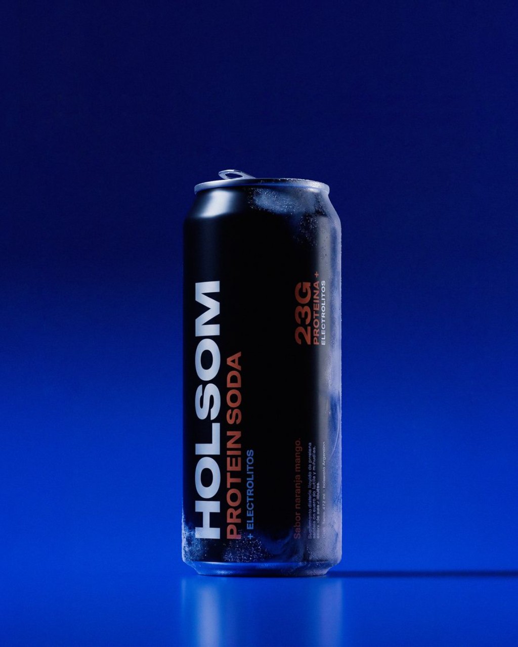 Holsom Protein Soda &mdash; lata 473ml