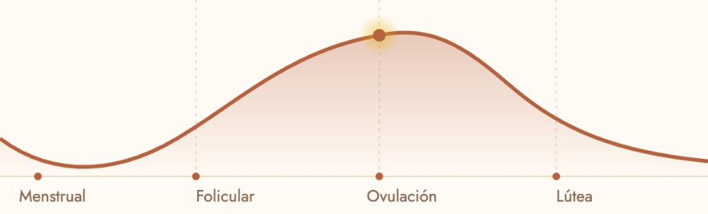Gr&aacute;fico de energ&iacute;a a lo largo del ciclo: menstrual, folicular, ovulaci&oacute;n y l&uacute;tea