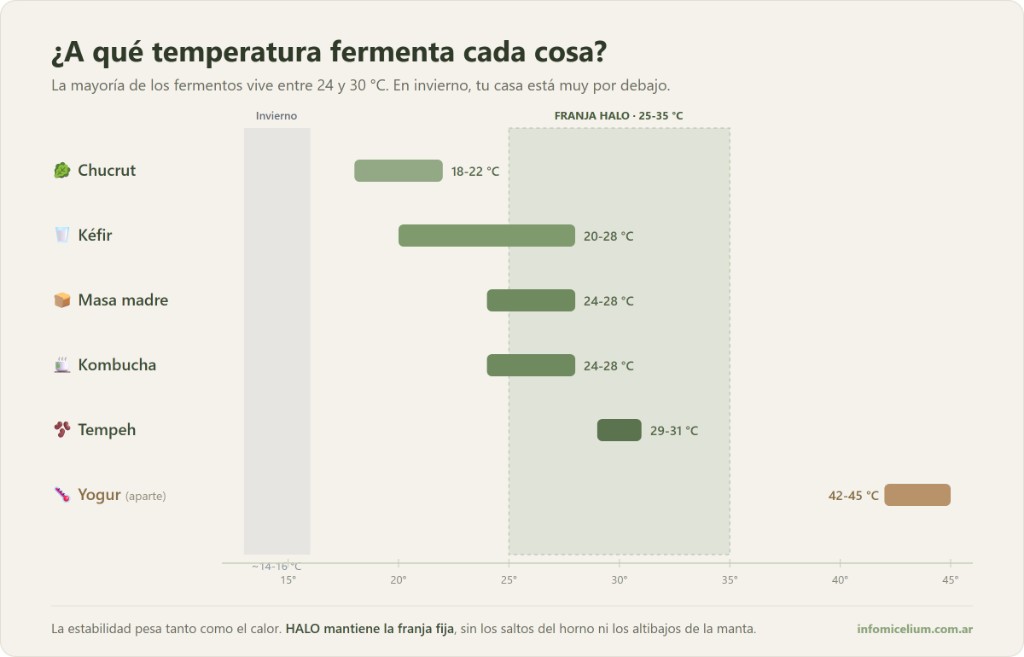 Infograf&iacute;a: temperatura ideal de fermentaci&oacute;n de masa madre, kombucha, k&eacute;fir, tempeh y chucrut, y la franja de HALO 25-35 &deg;C