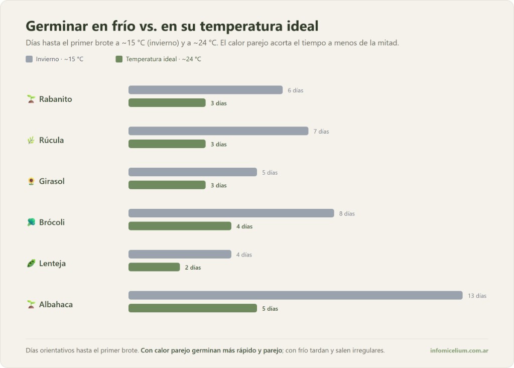 Infograf&iacute;a: d&iacute;as de germinaci&oacute;n de rabanito, r&uacute;cula, girasol, br&oacute;coli, lenteja y albahaca a 15 &deg;C (invierno) frente a 24 &deg;C