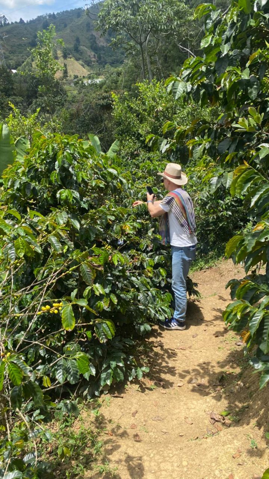 Coffee Tour Colombia: Visit Antioquia Farms