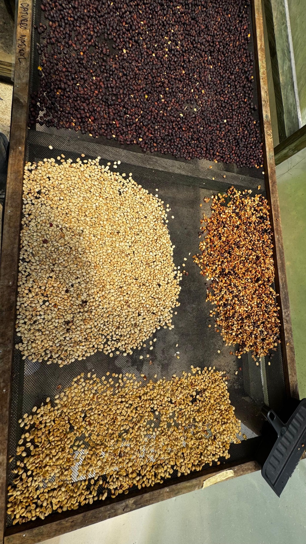 Visit Colombian Coffee Farms 