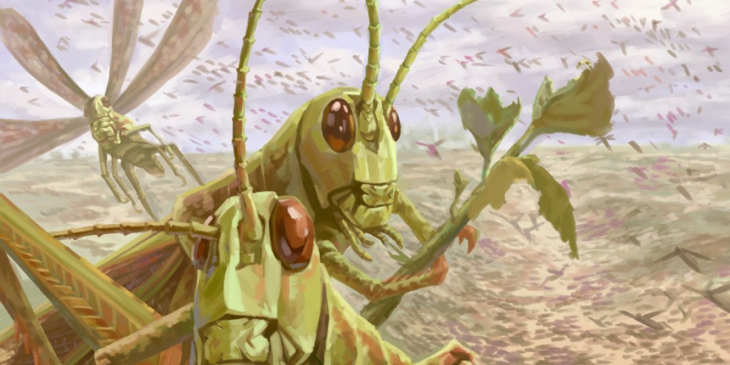 pragas-do-Egito-gafanhotos