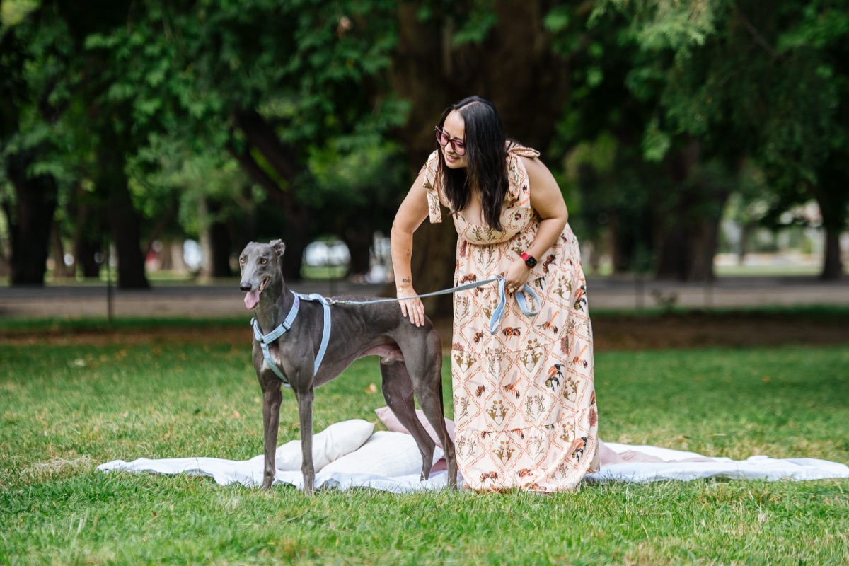 Perro paseando con pretal en H celeste y correa en un parque