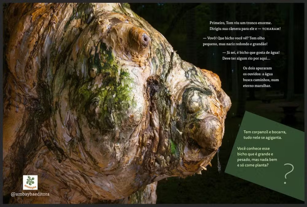 P&aacute;ginas do livro Que Bicho Voc&ecirc; V&ecirc;? &mdash; Foto: Divulga&ccedil;&atilde;o 