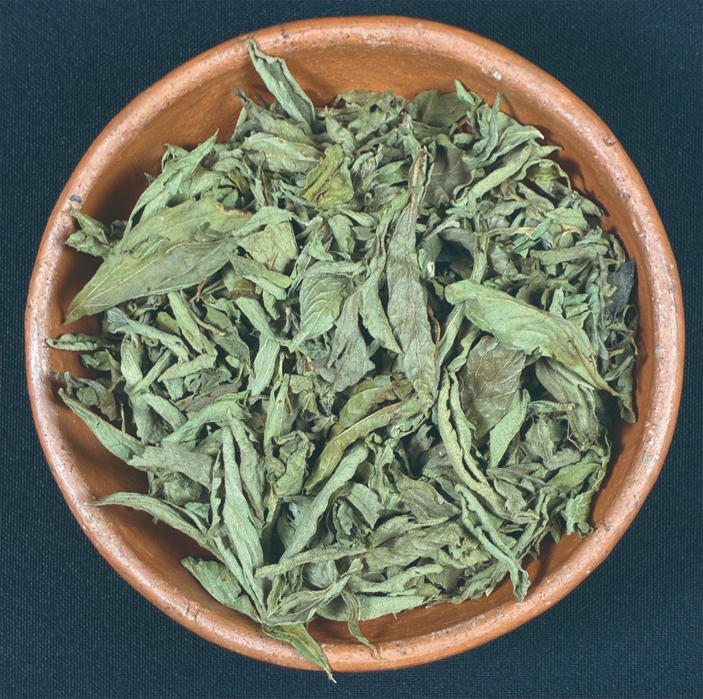 Hojas enteras de stevia natural secas YEVIA en un cuenco de barro