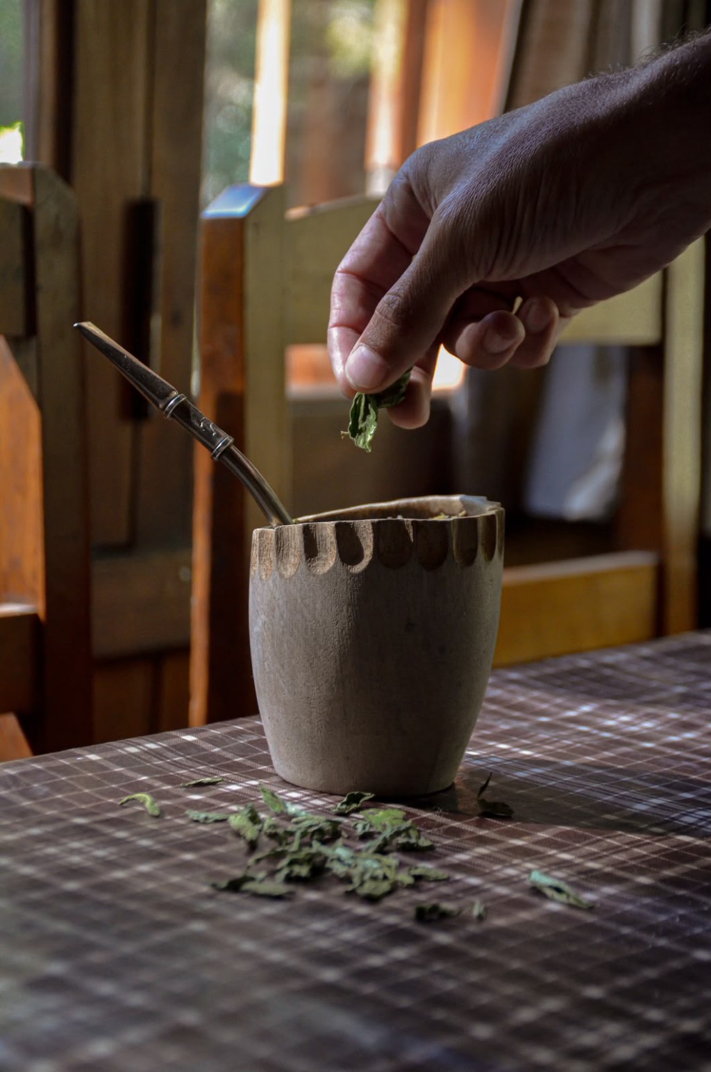 Mano poniendo hojas de stevia natural en un mate