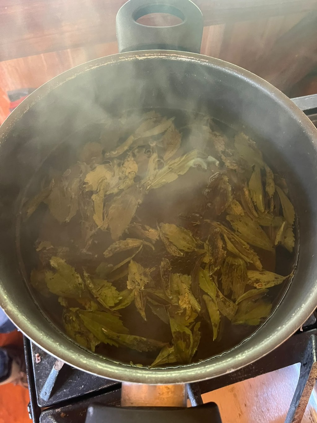 Hojas de stevia en una olla con agua caliente para hacer jarabe casero