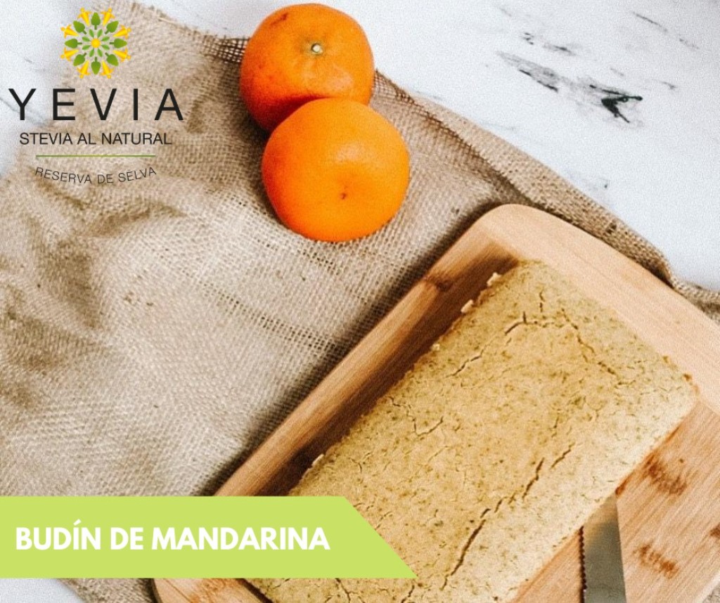 Bud&iacute;n de mandarina endulzado con stevia natural en polvo YEVIA