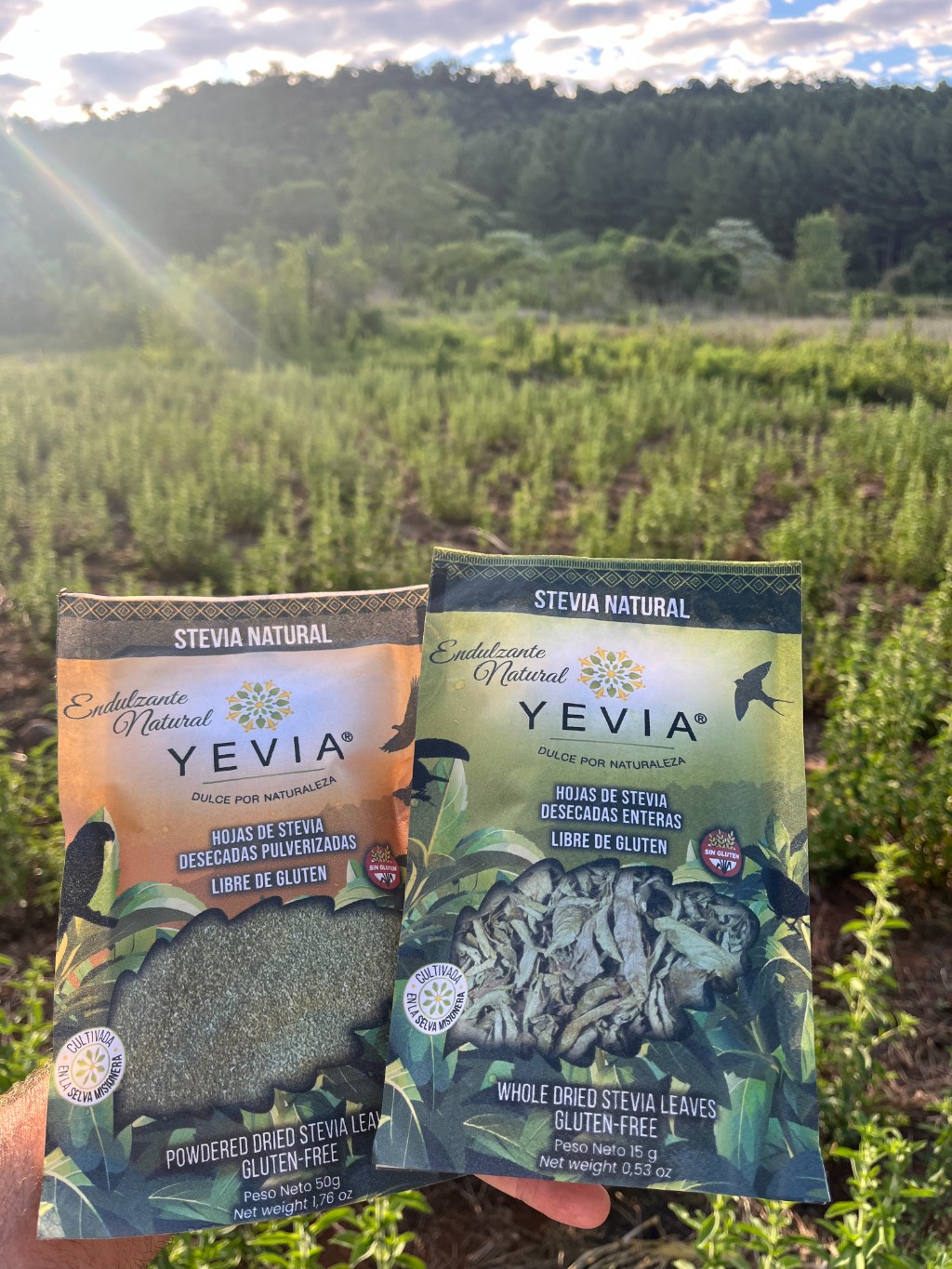 Stevia natural YEVIA en hojas enteras y en hoja pulverizada frente al cultivo de stevia de la Reserva Aponap&oacute;