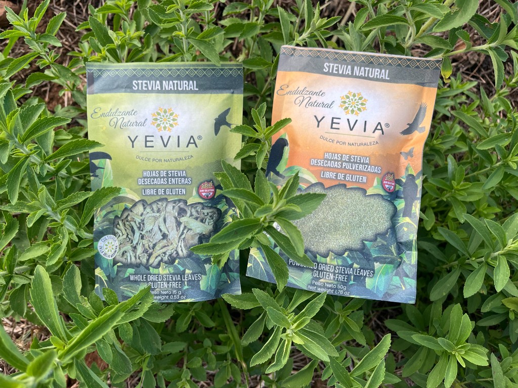 Envases de stevia natural YEVIA en hojas y en polvo sobre plantas de stevia