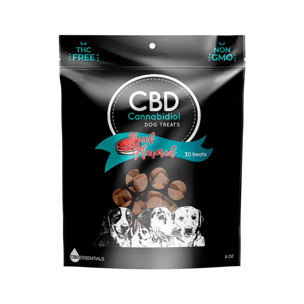 Como Tranquilizar a un Perro Durante los Fuegos Artificiales: 10 Consejos Infalibles