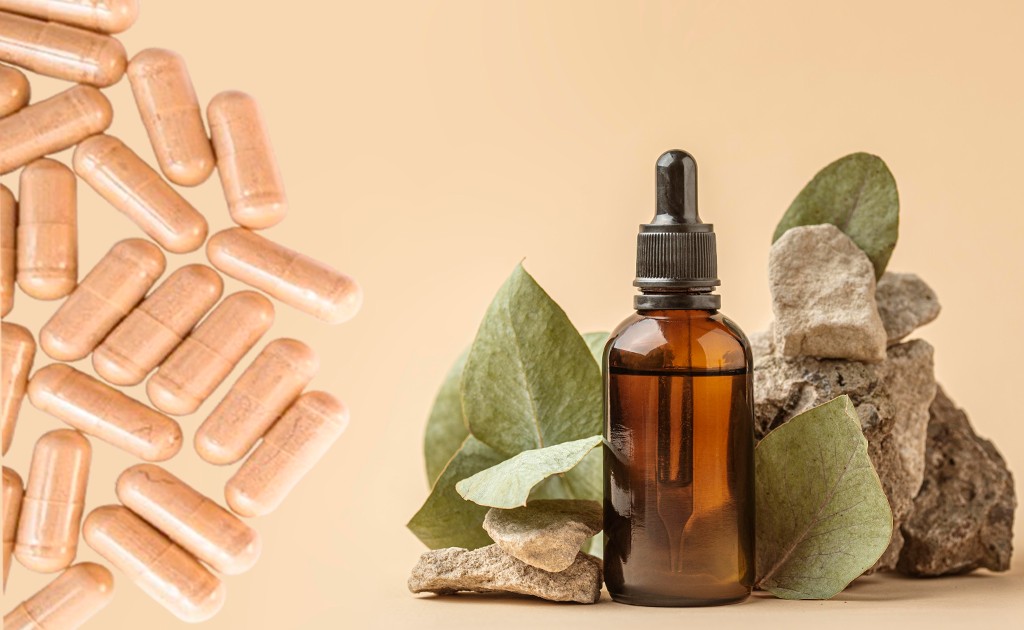 juba-de-leão-cápsula-extrato