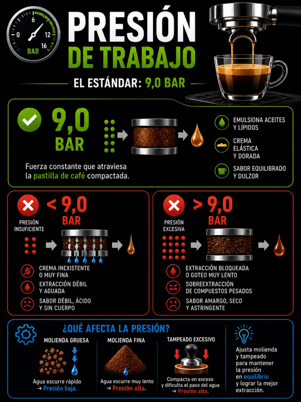 Preparaci&oacute;n Barista