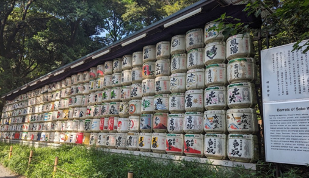Edif&iacute;cio de tijolos

O conte&uacute;do gerado por IA pode estar incorreto.