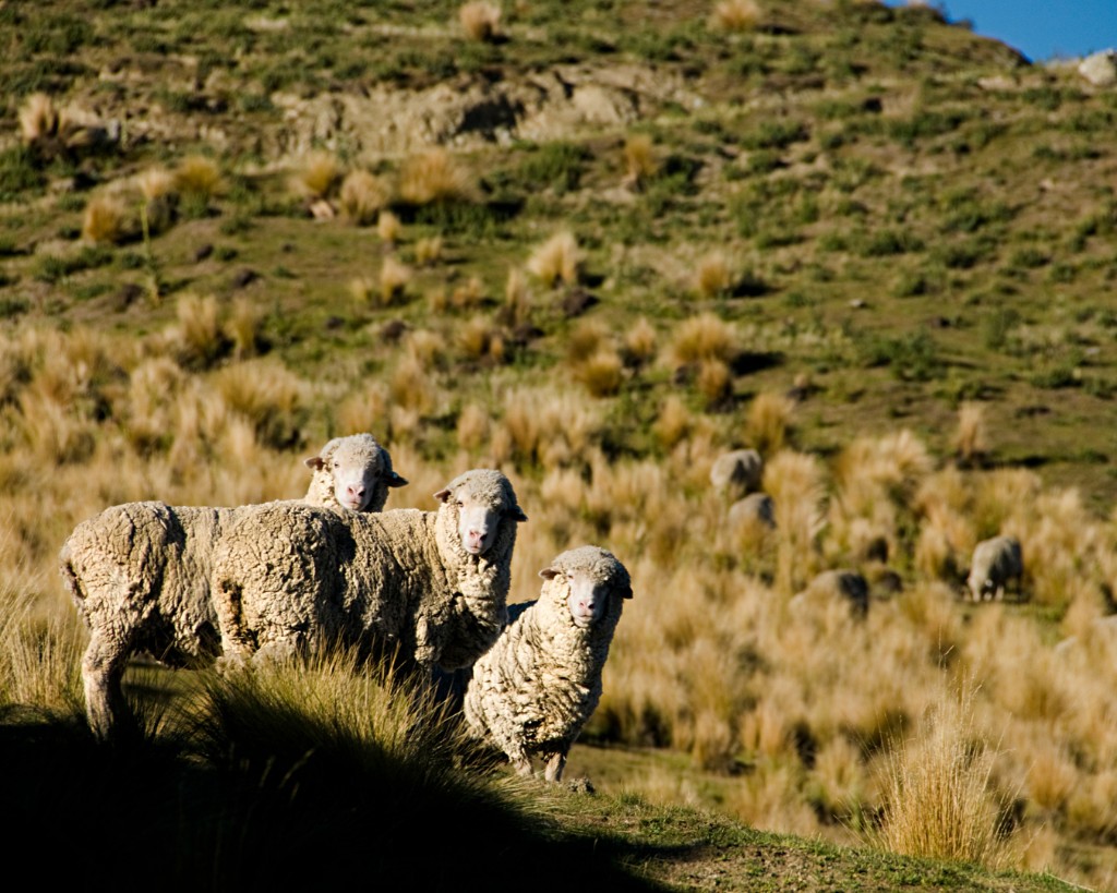 Paisaje de la Patagonia