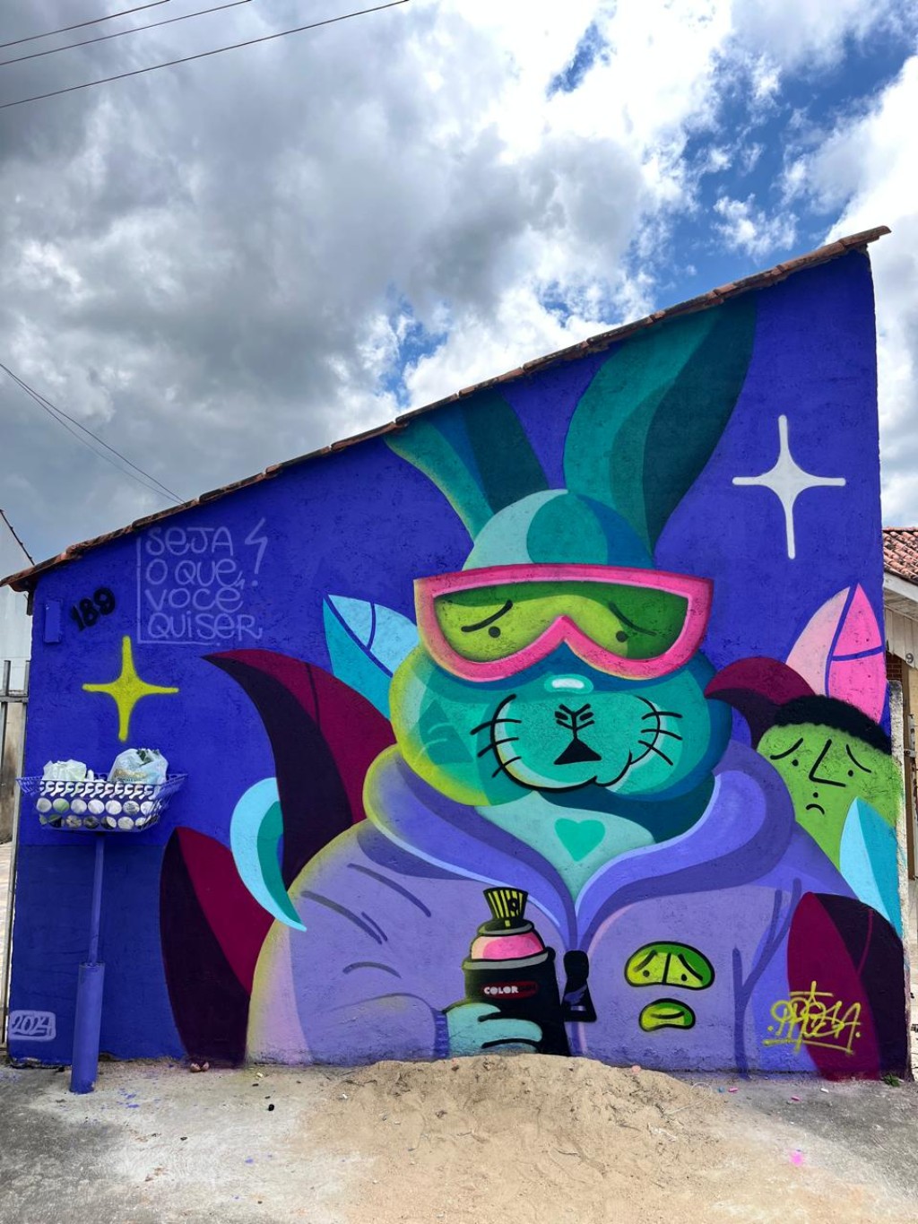 Conheça os principais murais de arte urbana do artista Diego Prosa. Localizações em Curitiba, Colombo e muito mais