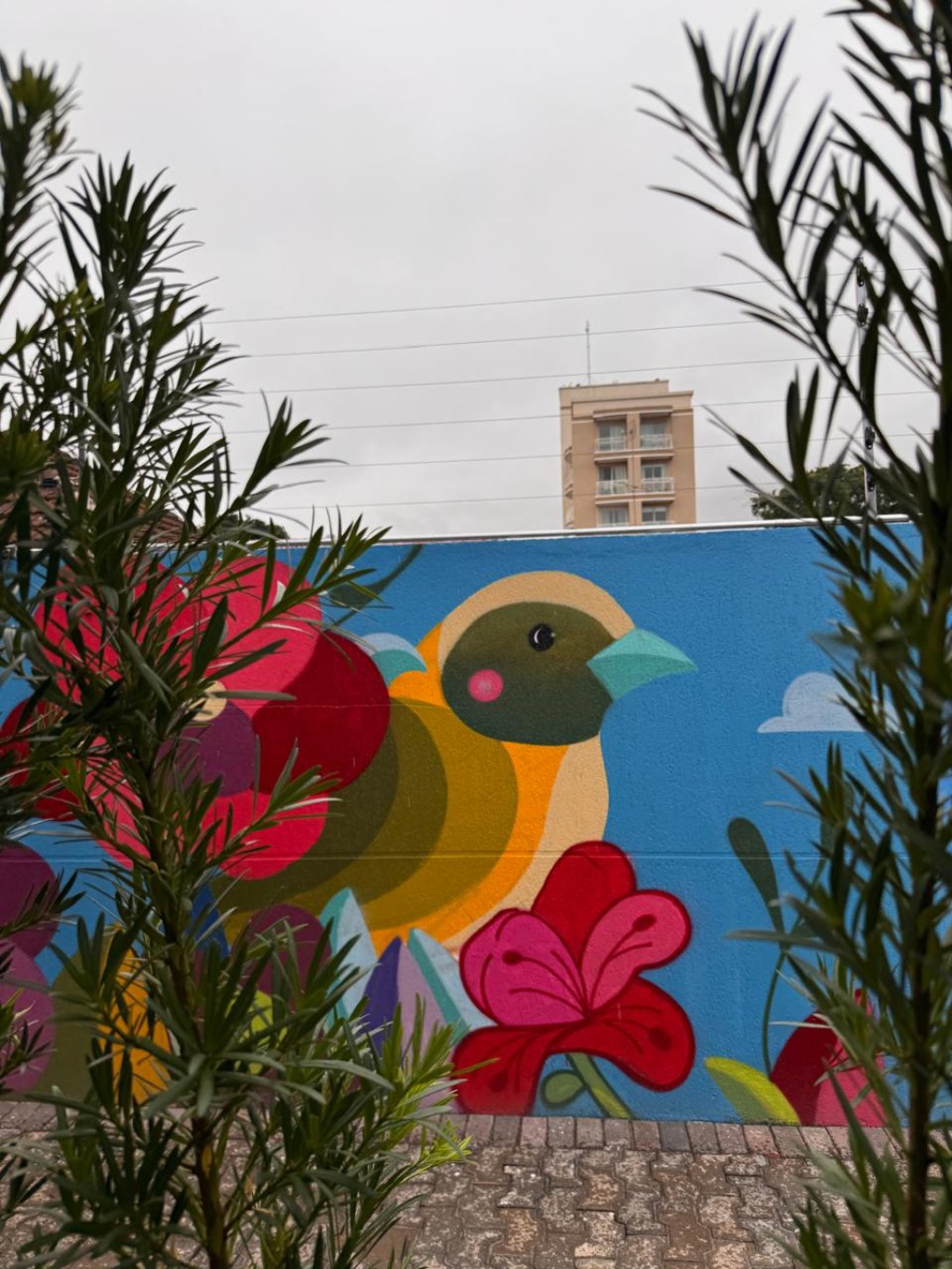 estilos-de-graffiti-guia-completo-passaro