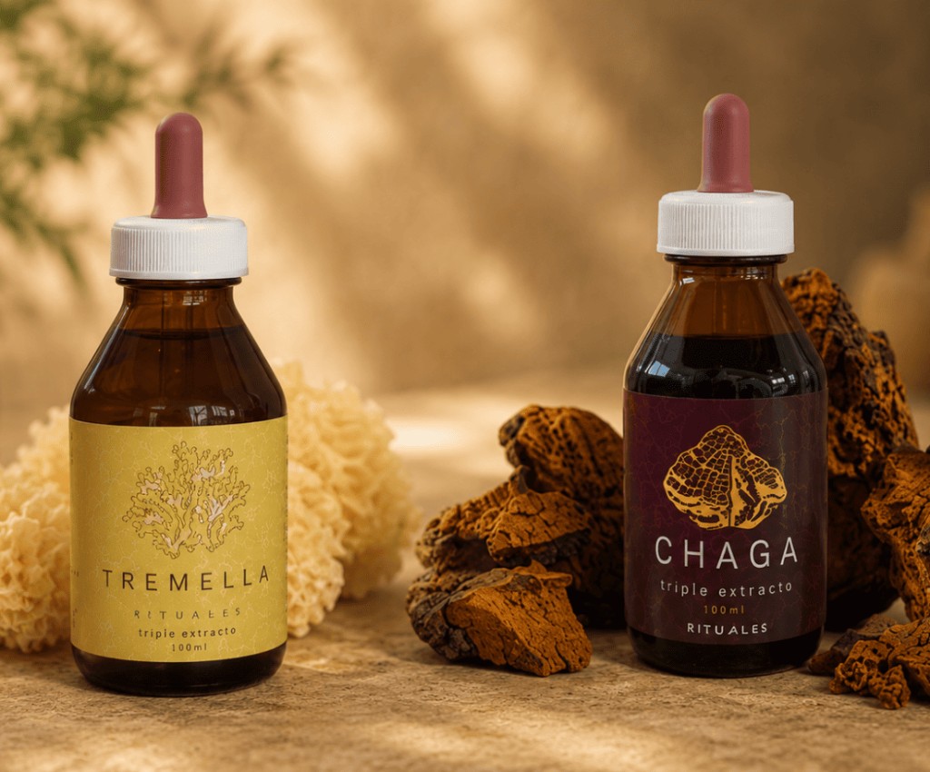 Tremella y Chaga