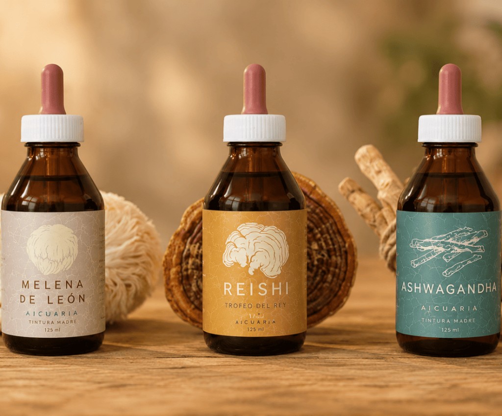 Melena de Le&oacute;n, Reishi y Ashwagandha