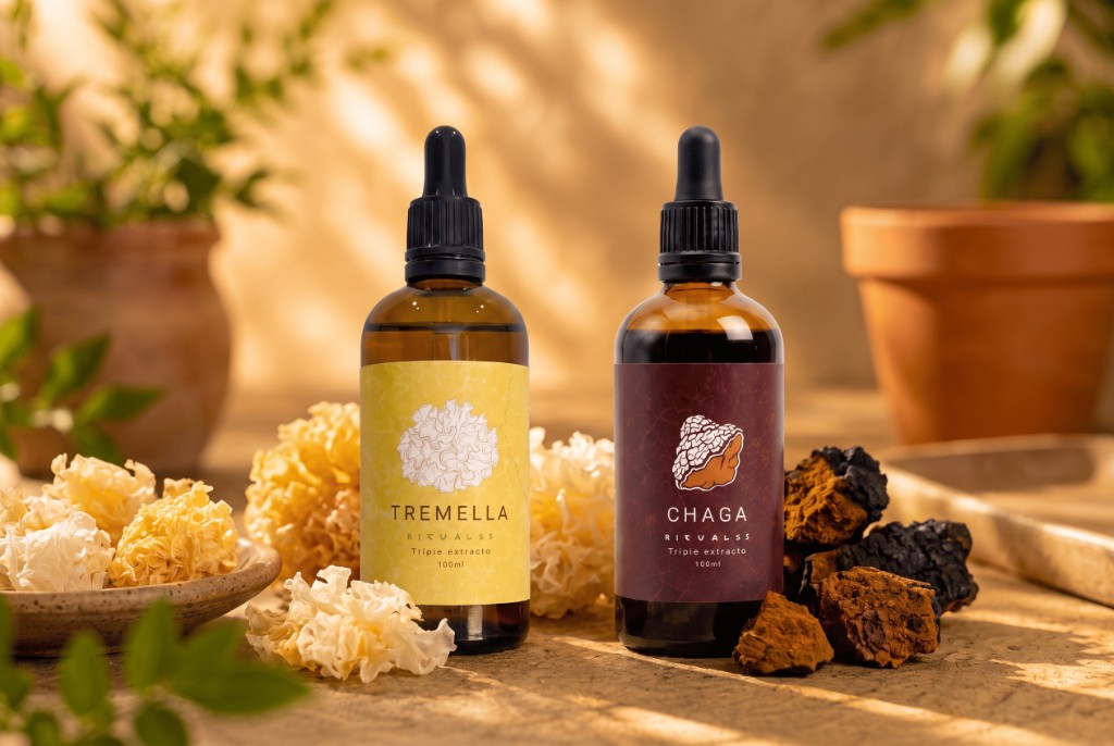 Tremella y Chaga