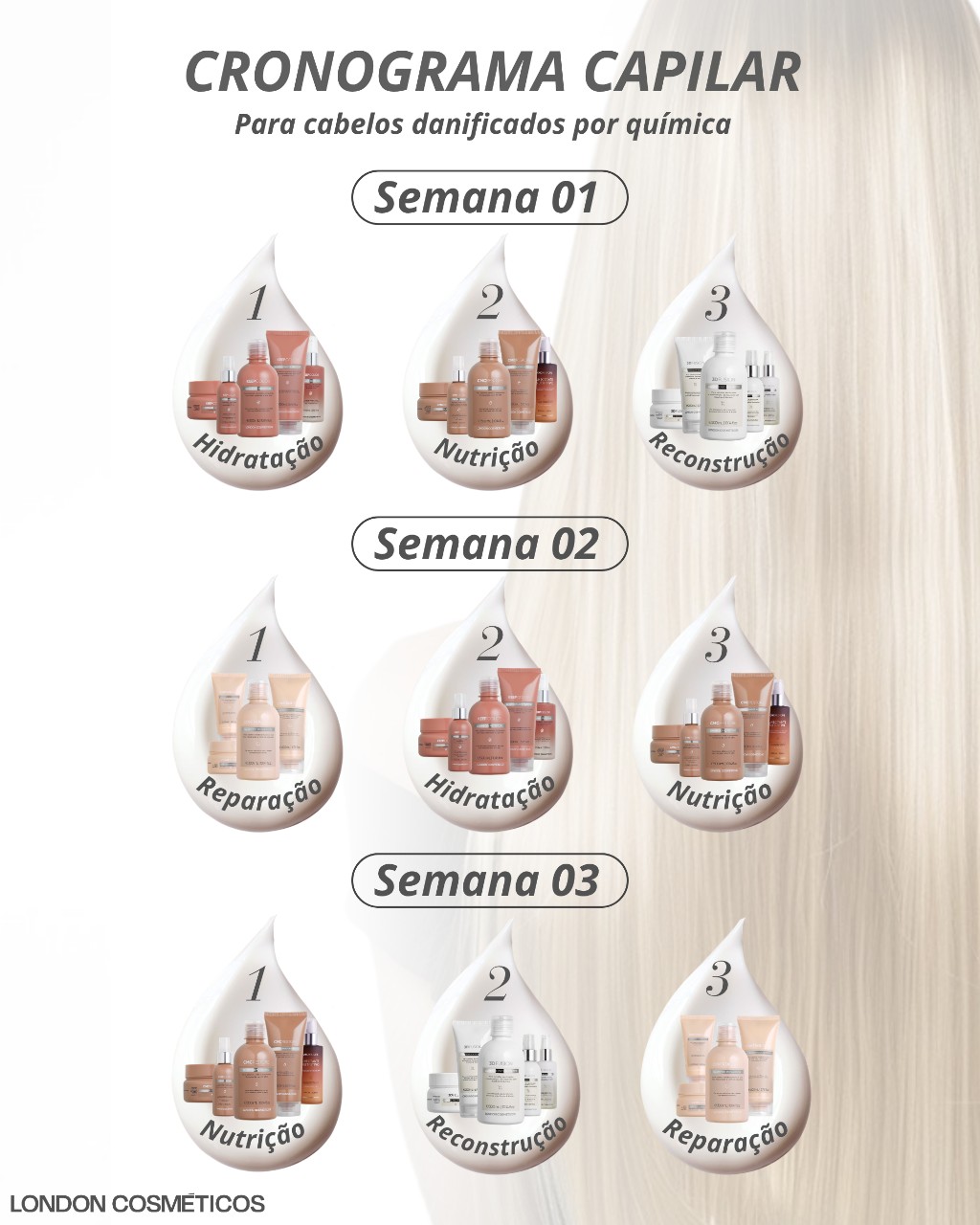 Cronograma Capilar reconstru&ccedil;&atilde;o