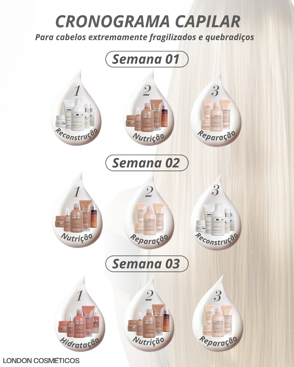 Cronograma Capilar Repara&ccedil;&atilde;o