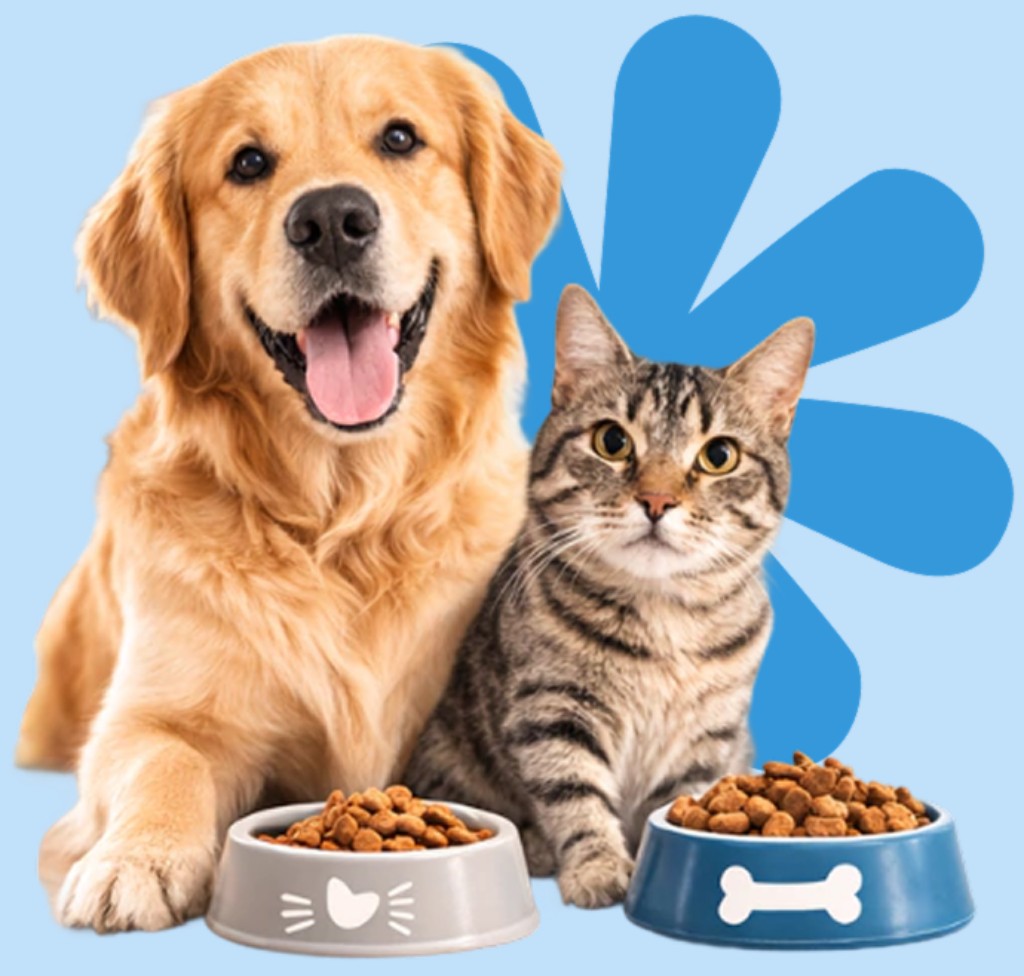 Perro y gato sobre flor azul