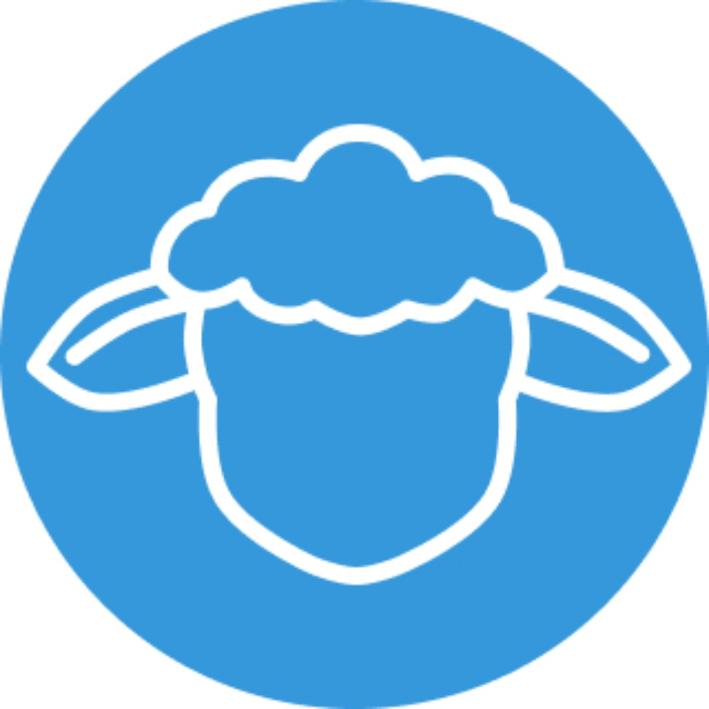 Cordero