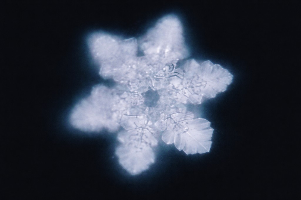 Cristal microsc&oacute;pico formado pela &Aacute;gua Anew ap&oacute;s congelamento, registrado nos estudos de cristaliza&ccedil;&atilde;o do pesquisador japon&ecirc;s Masaru Emoto.