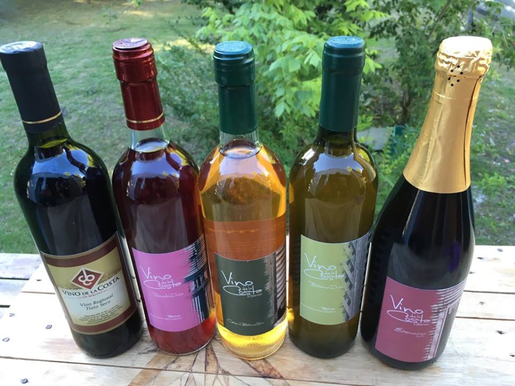 Imagen 1. Vinos elaborados por la Cooperativa de la Costa de Berisso.