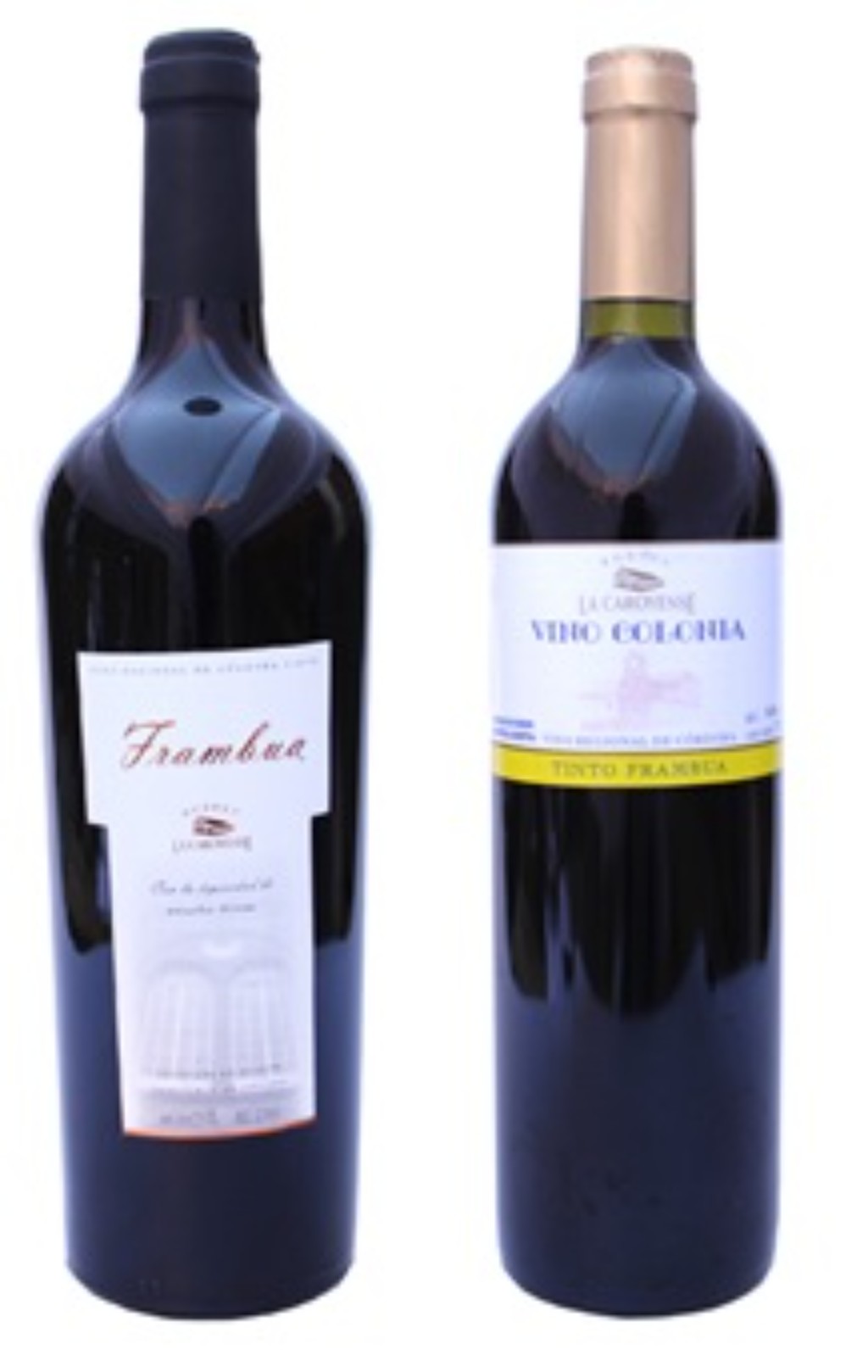 Imagen 2. Vinos elaborados con la variedad frambua, procedentes de Colonia Caroya, Córdoba.