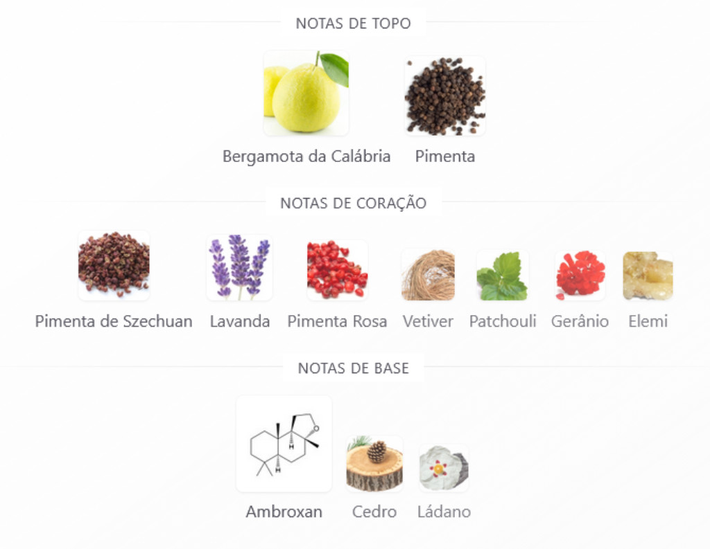 notas olfativas selvagem zyone cosm&eacute;ticos
