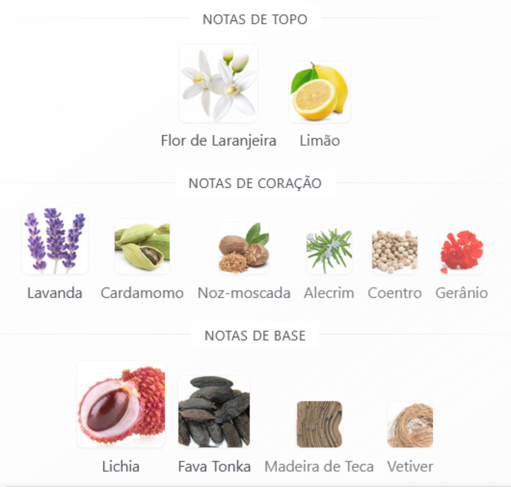 notas olfativas silver z zyone cosméticos