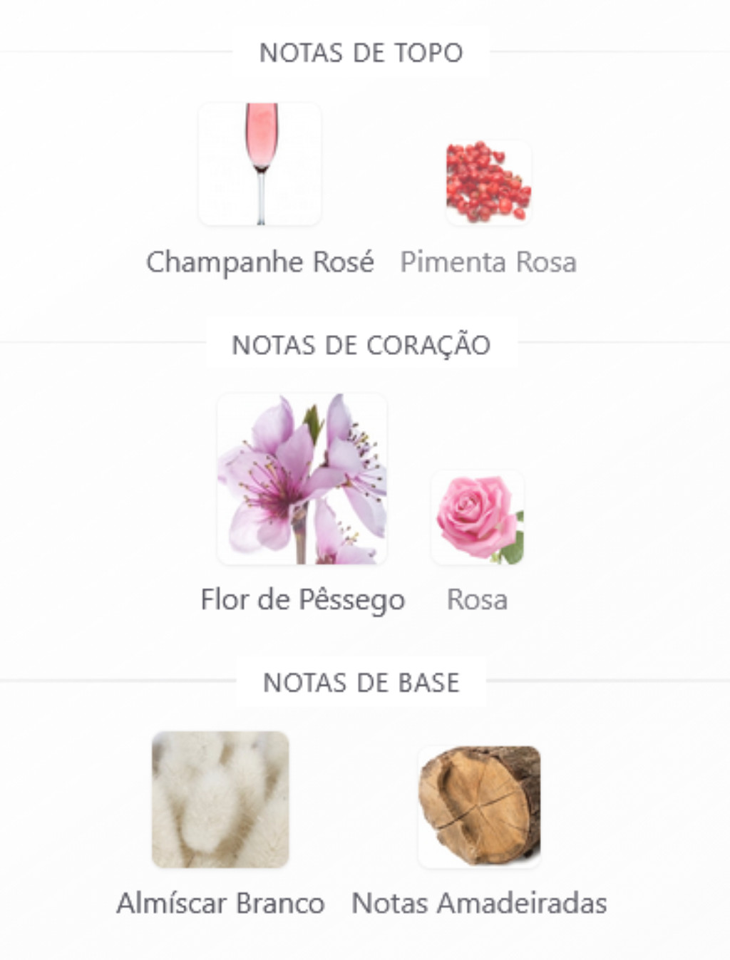 notas olfativas brz blossom zyone cosméticos