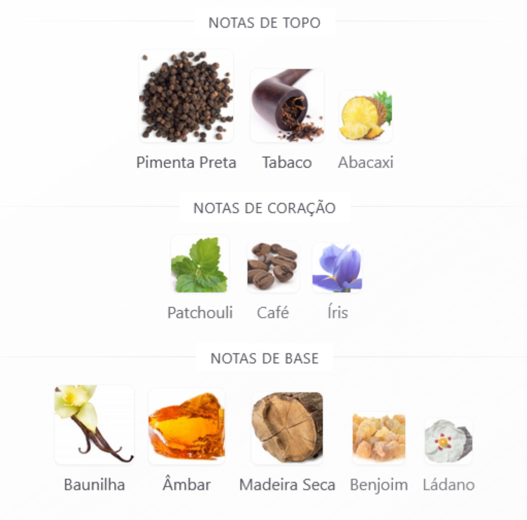 notas olfativas zayan zyone cosméticos