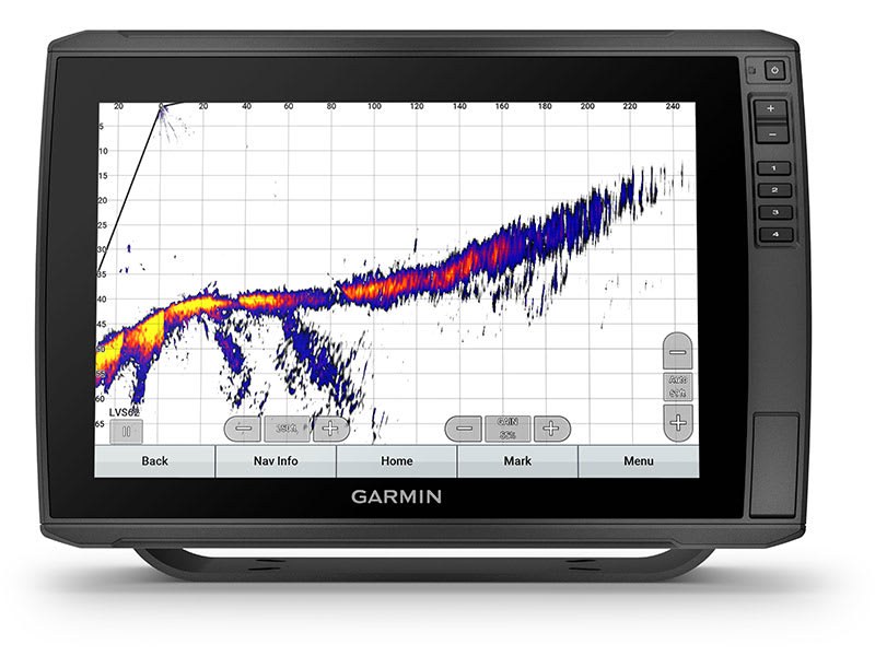Tela do sonar Garmin com o LiveScope XR na paleta clara, mostrando um cardume de isca ao vivo