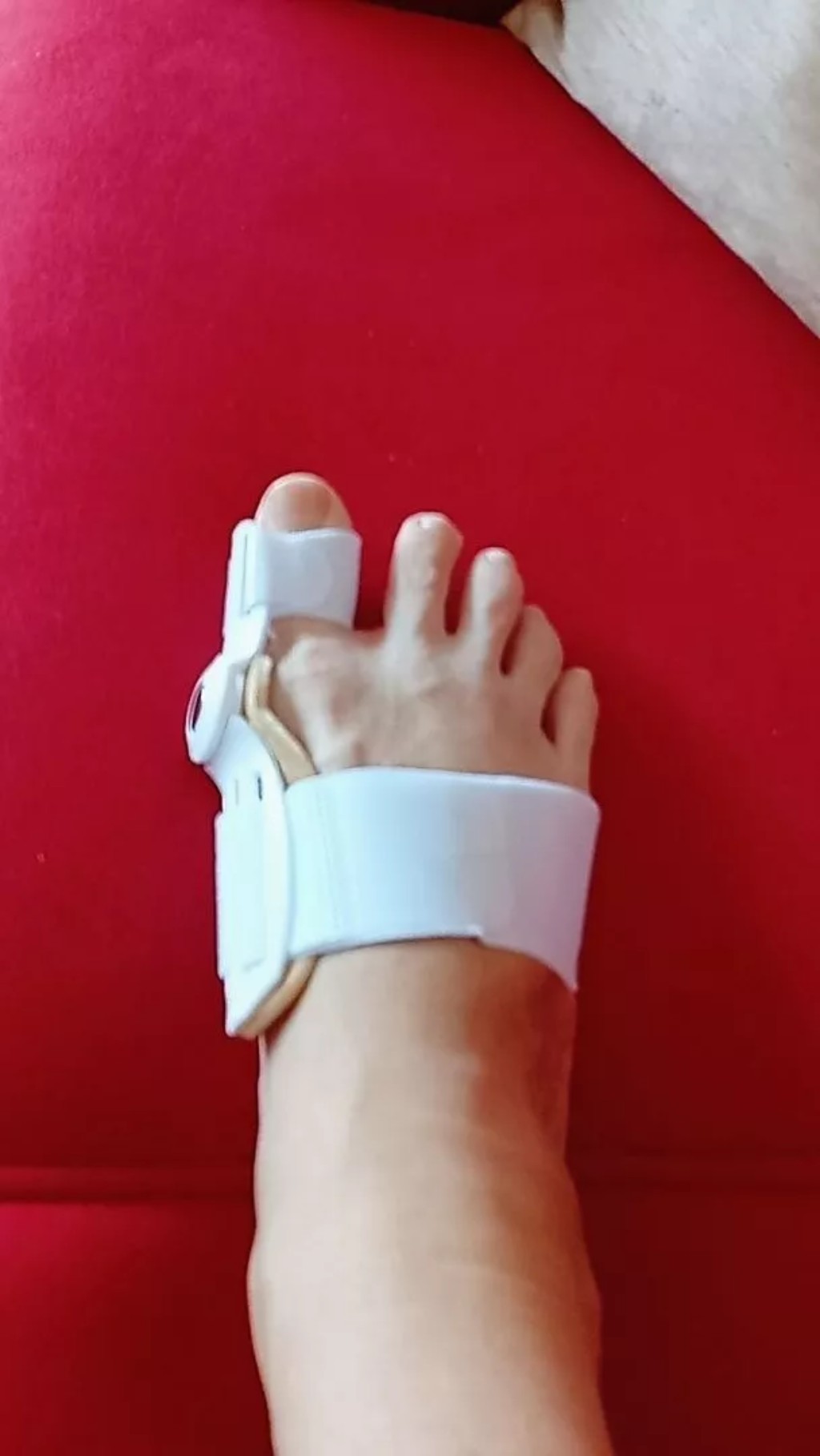 Rosana Santos