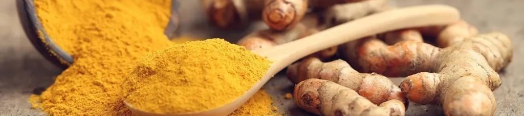 6 Benefícios da Cúrcuma e como utiliza-la no dia a dia
