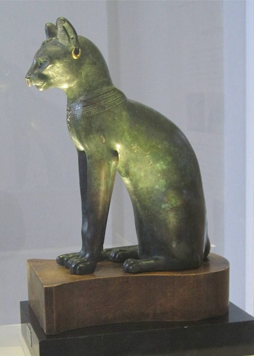 El Gato Gayer-Anderson