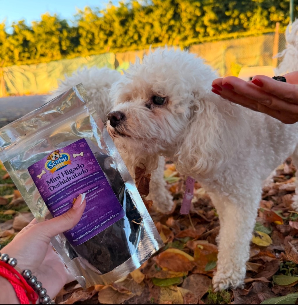 Snacks naturales para perros