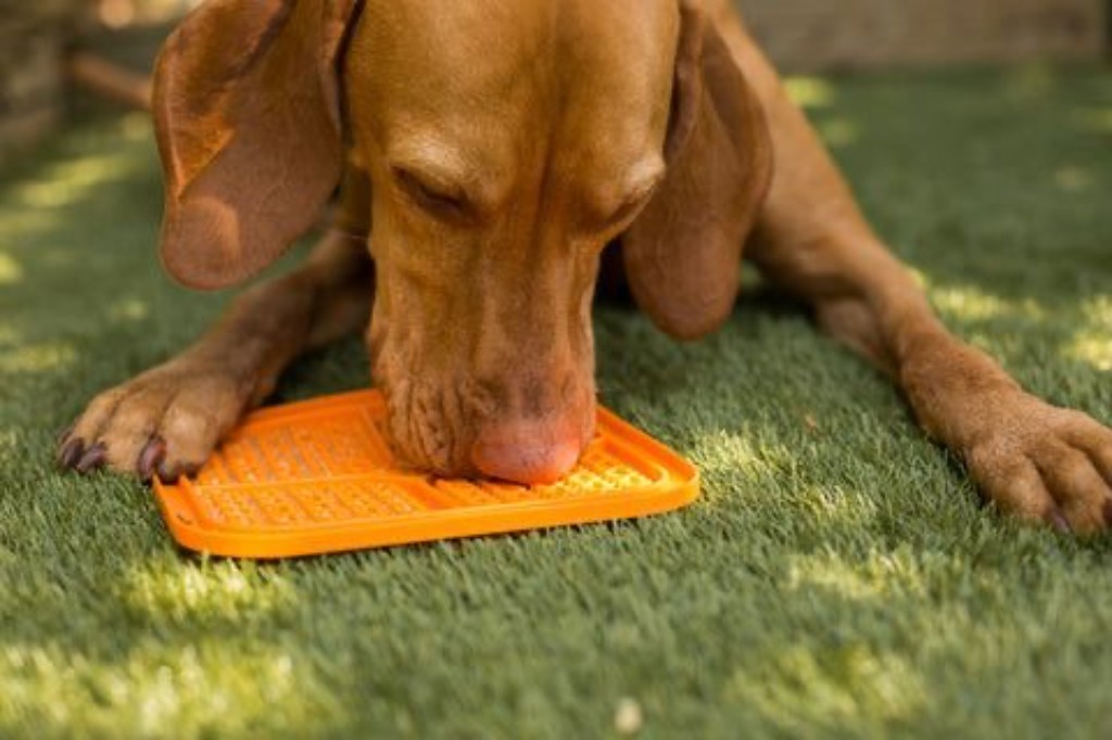Lick Mat para perros