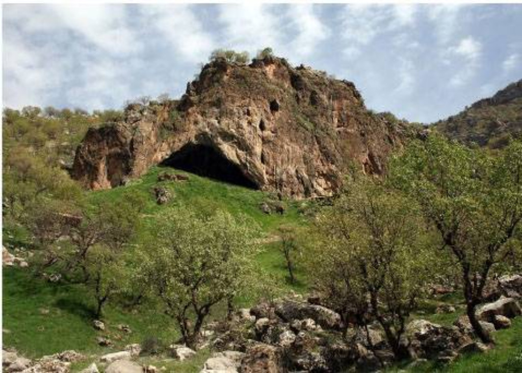 cueva de shanidar con restos de plantas