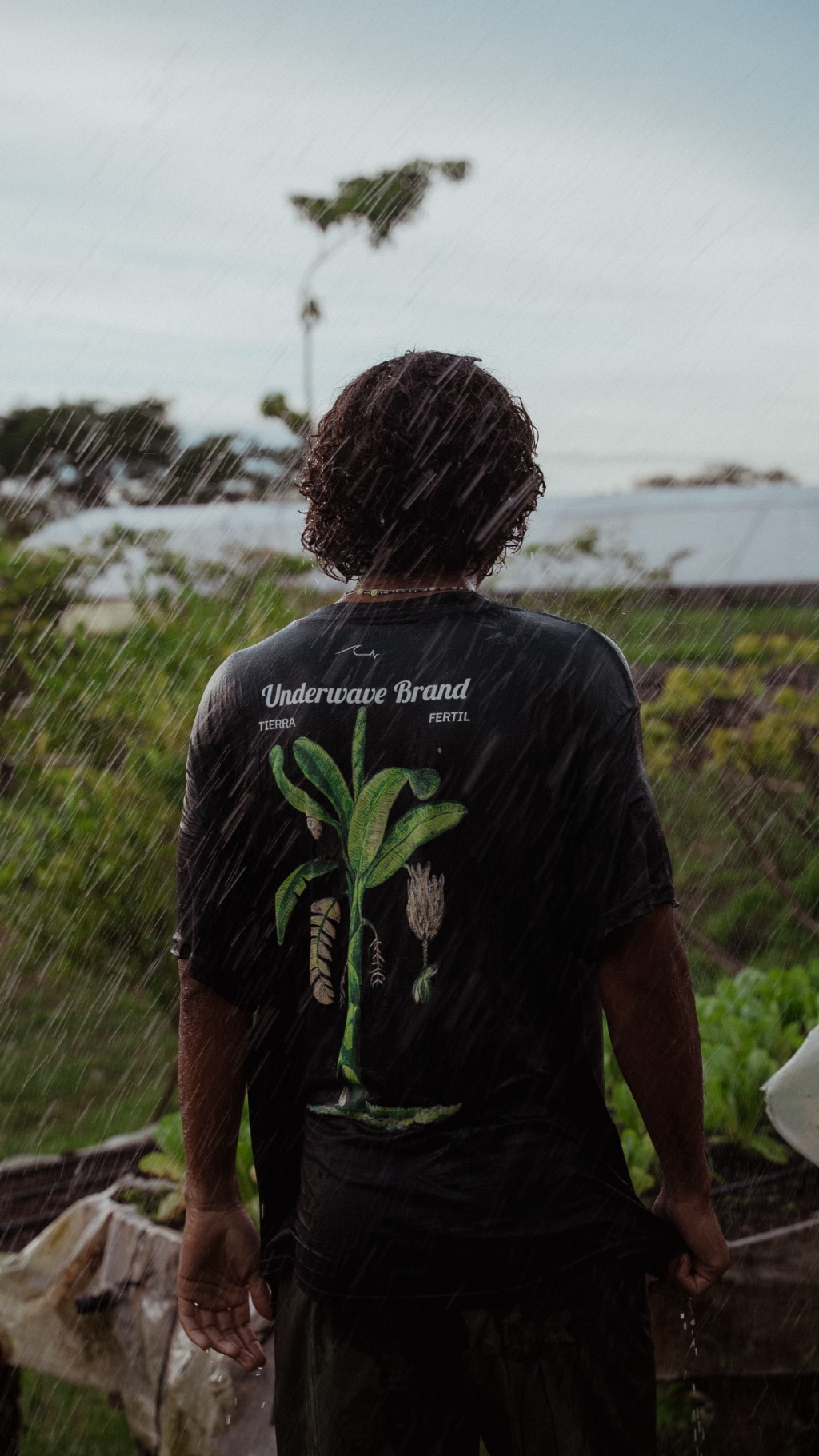 Remera Tierra F&eacute;rtil de Underwave con estampa de bananera, bajo la lluvia