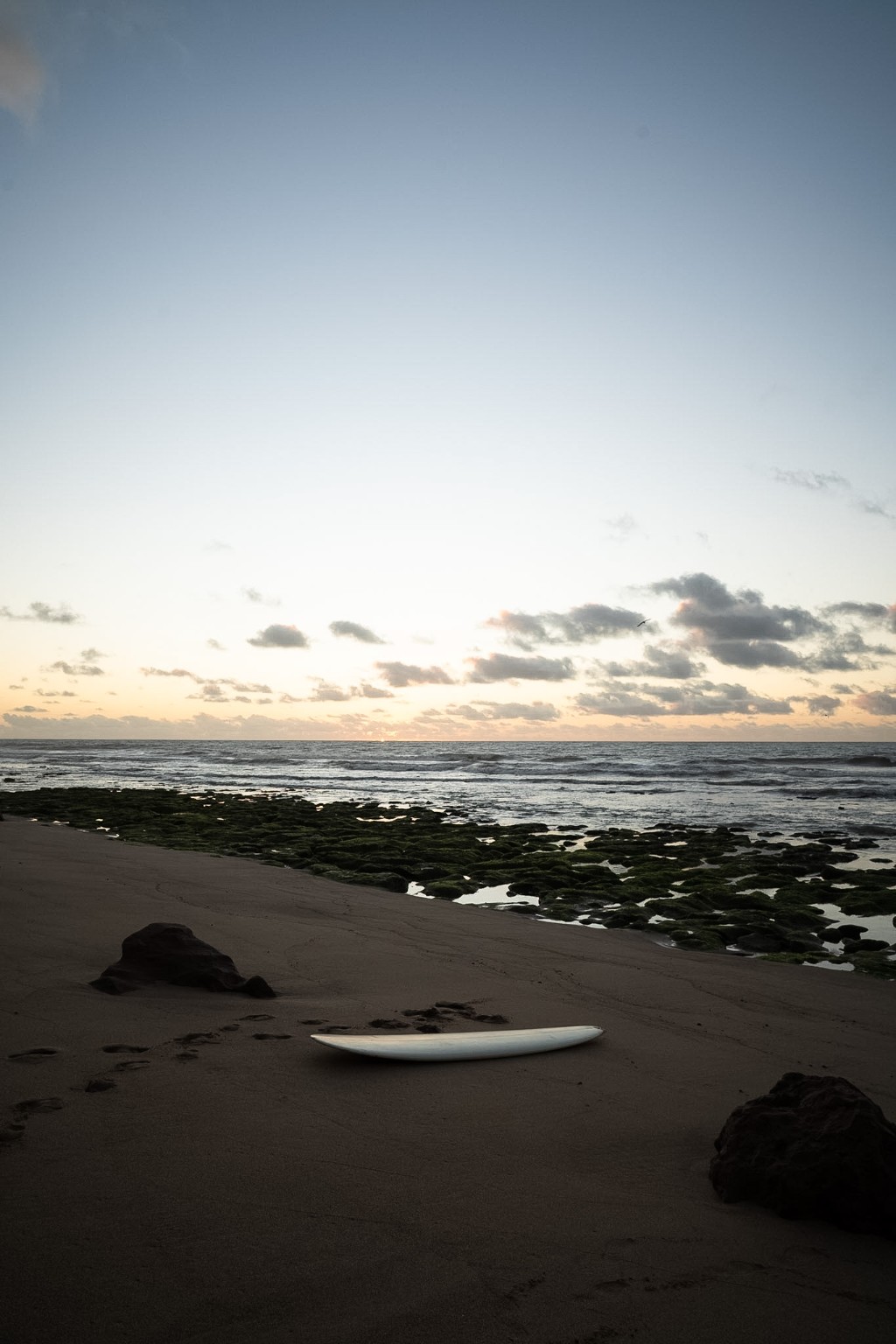 Playa, mar y tabla de surf en Chapadmalal