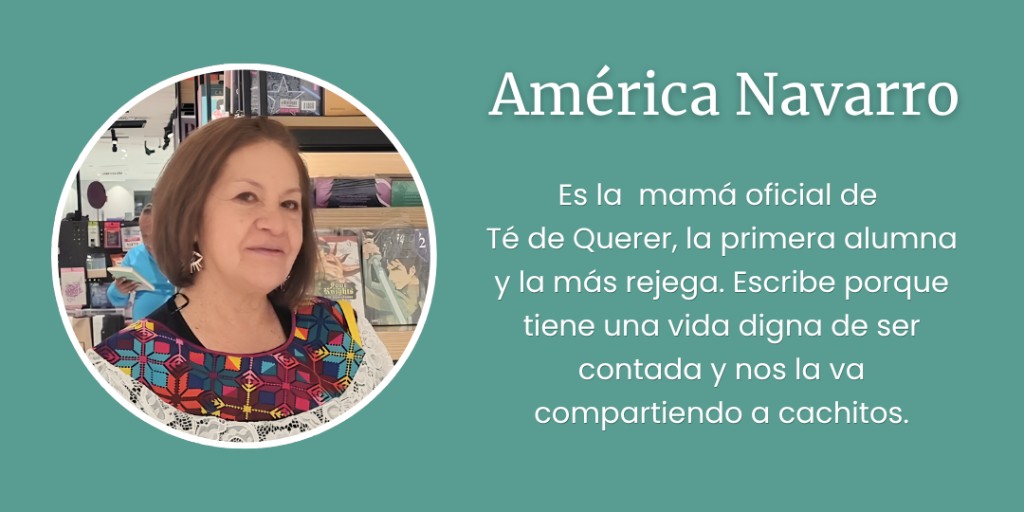 Am&eacute;rica Navarro