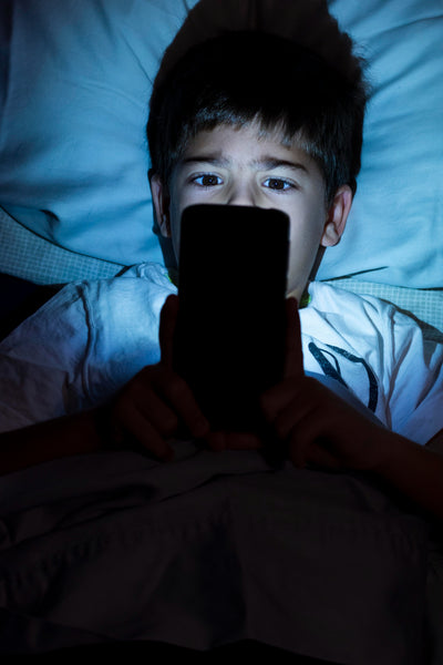 ciberbullying: perigos digitais