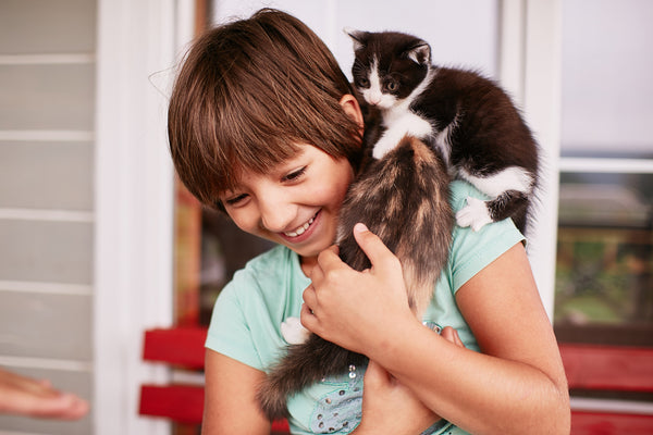 Criaça e gatinhos: como cuidar de pets